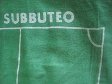 70s 80s baize Subbuteo pitch