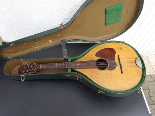 Mandola herwiga soloist - herwiga,