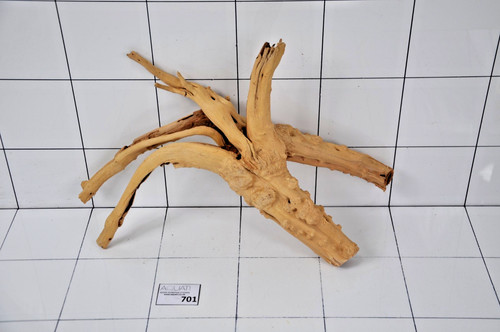 Premium natural aquarium - natural,