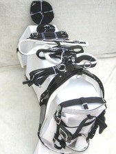 single horse black/white