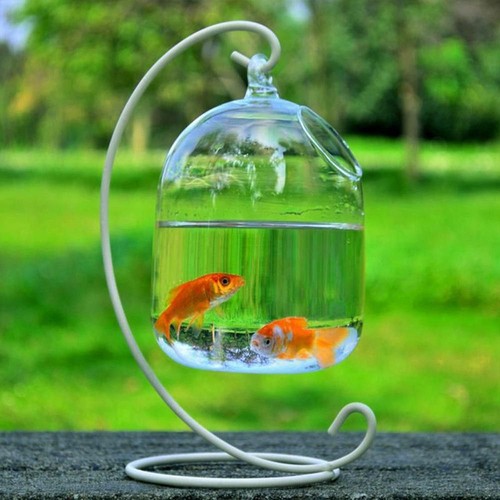 Aquarium decoration vase - aquarium,