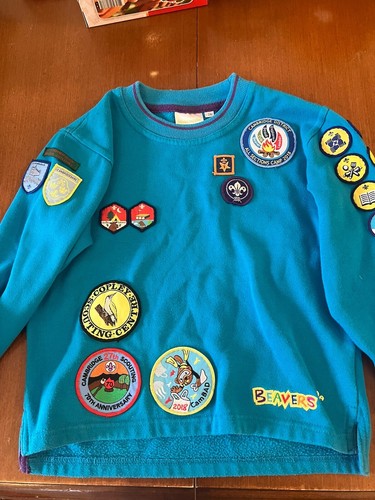 Vintage beaver scout jumper - vintage,