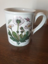 Portmeirion Botanic Garden