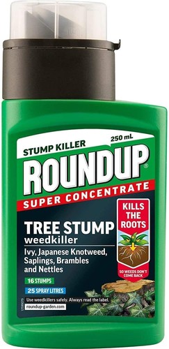 Tree stump killer root - root,