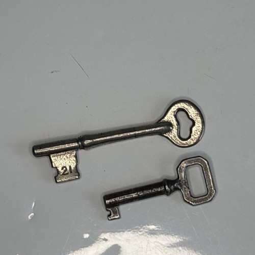 Vintage skeleton keys - skeleton,