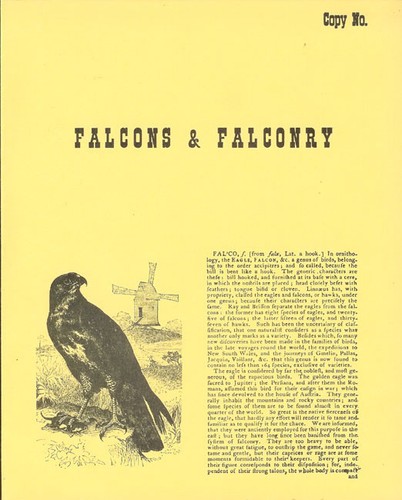 Wilkes john raptors and - wilkes,