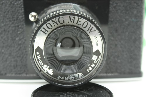 Diana medium format 120 - medium,