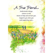 A True Friend Understands