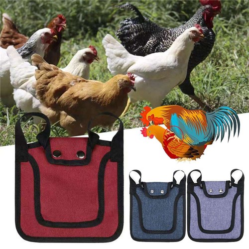 Premium chicken saddle - chicken,