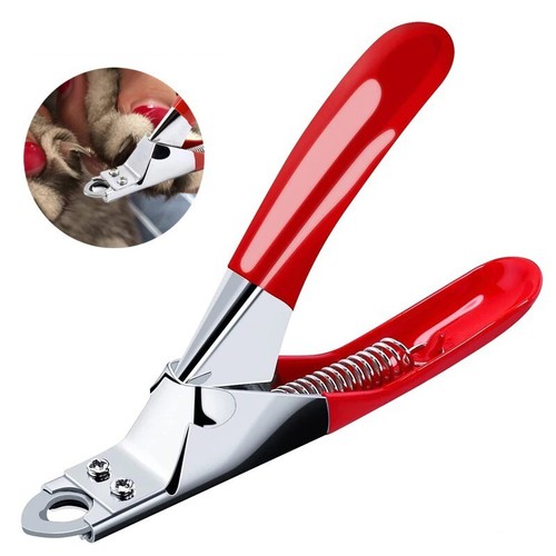 Pet nail clippers dog - dog, cat