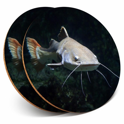 Coasters awesome redtail - 2,