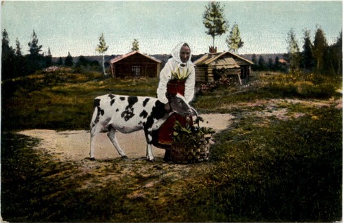 Mora sweden 100744 - mora,