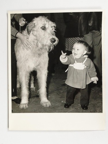 Toddler neil sugden - sugden, irish