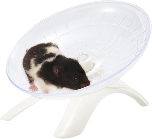 Non slip hamster - slip,