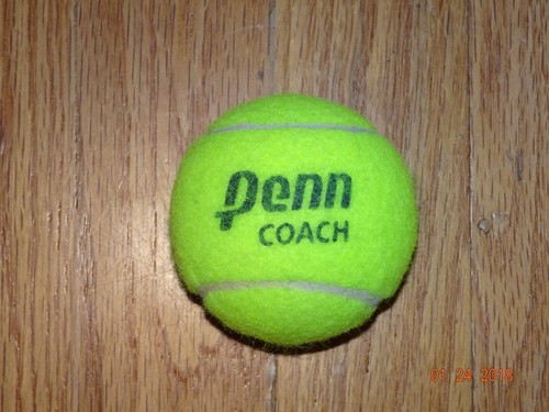 Used tennis balls penn - balls,