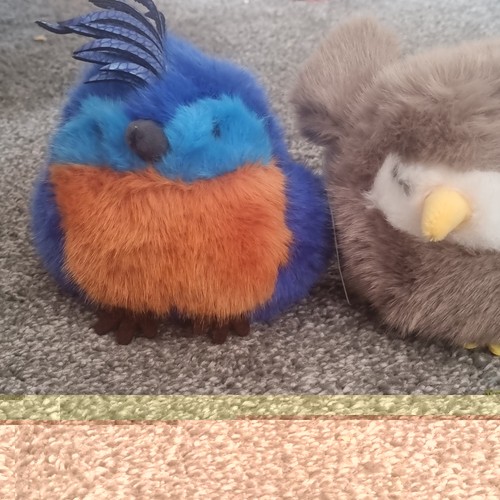 Angry birds small - angry,
