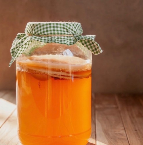 Organic kombucha starter kit - organic,