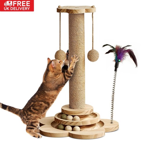 Tall cat scratching - tall,