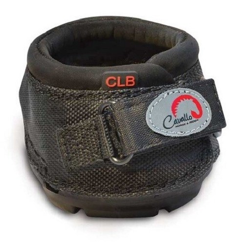 Cavallo cute little hoof - little,