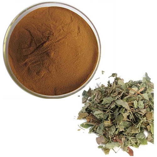 Horny goat weed - horny,
