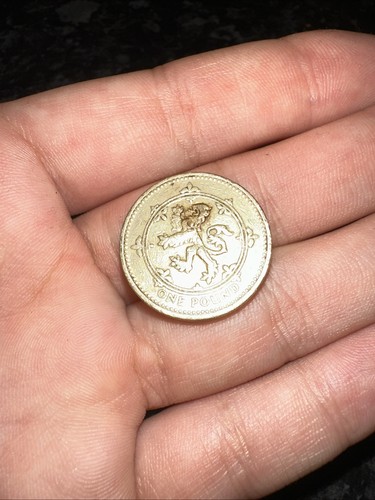 Rare 1994 one pound coin - uk,