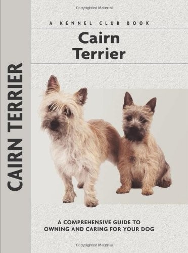 Cairn terrier comprehensive - terrier, (comprehensive