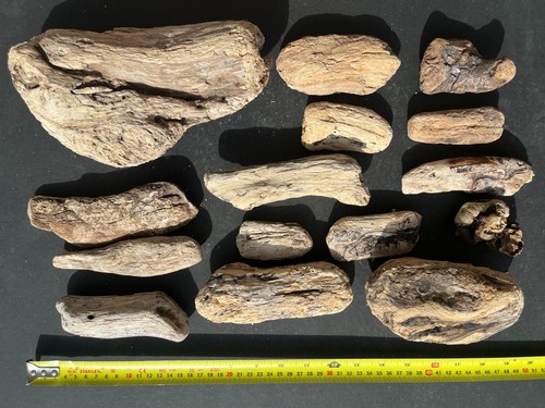 Cornish driftwood pieces - 15,