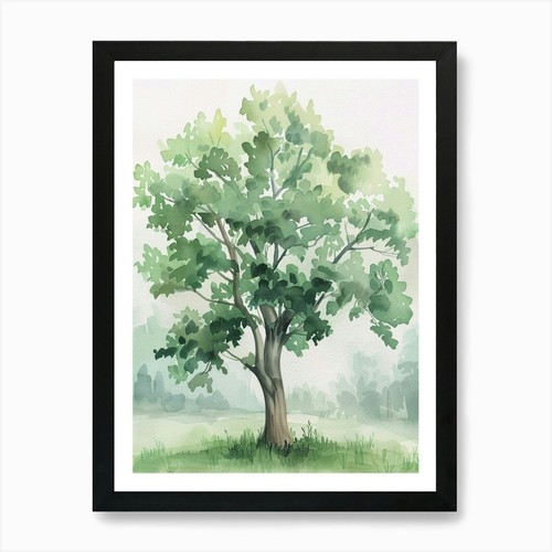 Paulownia tree atmospheric - paulownia,
