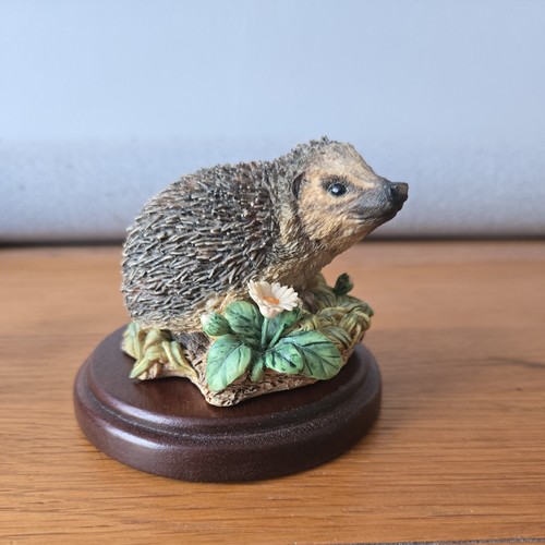 Border fine arts hedgehog - border,