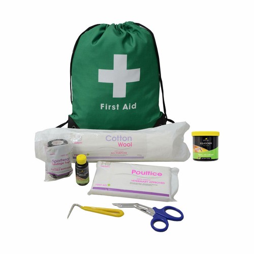 Lincoln first aid - aid, bag