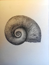 Signed original drawing by well known artist. Graphite on paper.