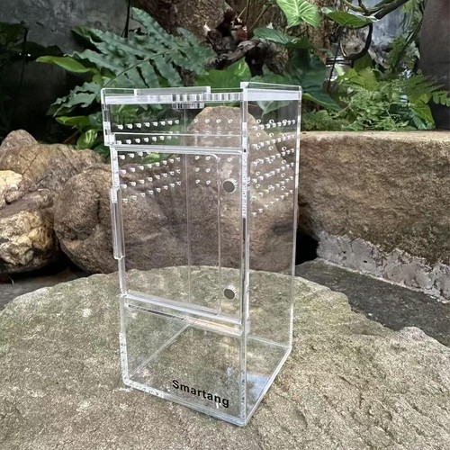 Jumping spider enclosure clear - jumping,