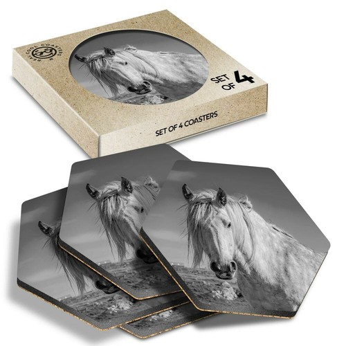 Hexagon coasters bw - coasters,