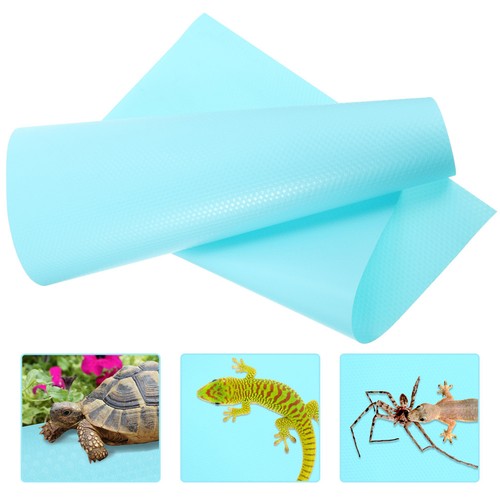 Leopard gecko tank - leopard, accessories