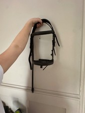 shetland pony bridle