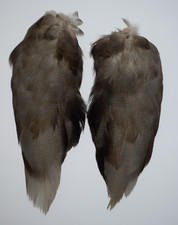 Complete set of Bronze Mallard