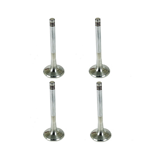 Set exhaust valves trw - 4,