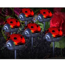 Solar Ladybird Stake Lights