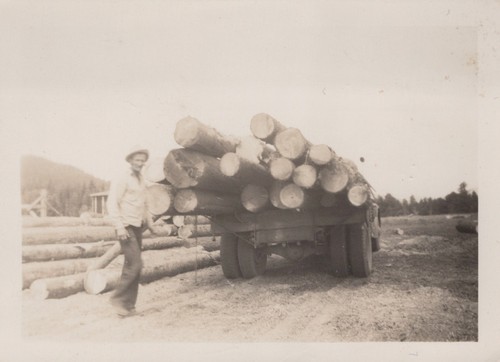Lumber logging industry - lumber,