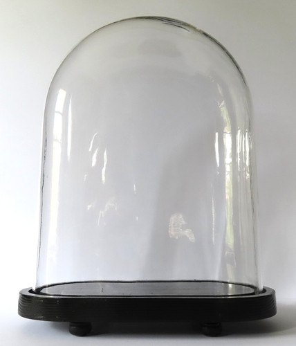 Antique oval glass dome - oval, jar