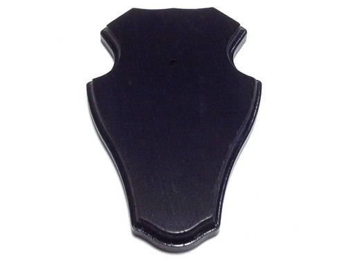Trophy shield roe muntjac - trophy, or