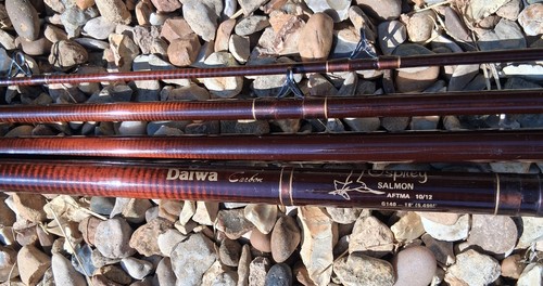 Daiwa osprey salmon fishing - daiwa,