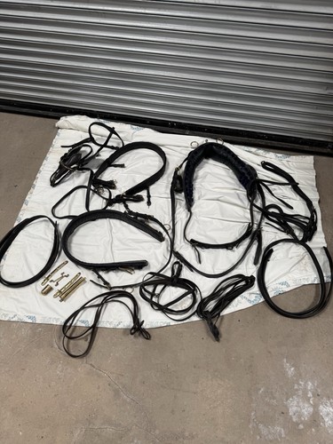 Vintage horse driving bridle - horse,