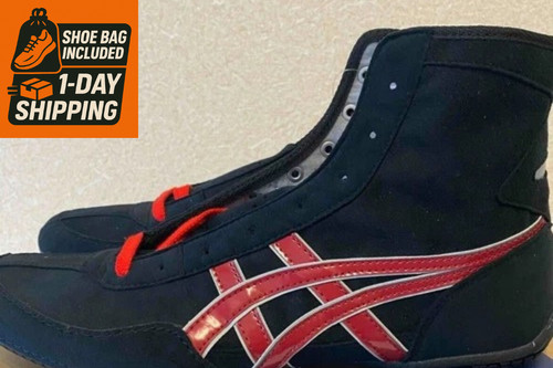 Shoe bag asics - bag],
