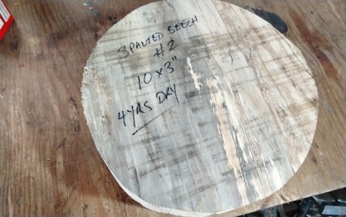 Spalted beech bowl blank - bowl,