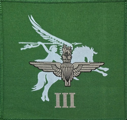 3rd battalion the - 3rd, parachute