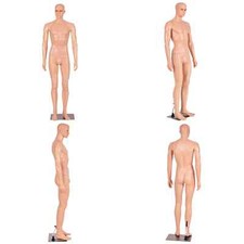 184 cm Male Mannequin