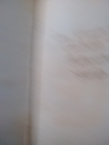 Irish police guide hardback