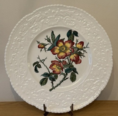 Royal cauldon haywood briar - cauldon,