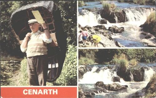 Vintage cenarth postcard - vintage,